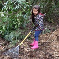 edmonds earth day