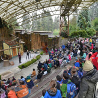 opening wild wonders point defiance