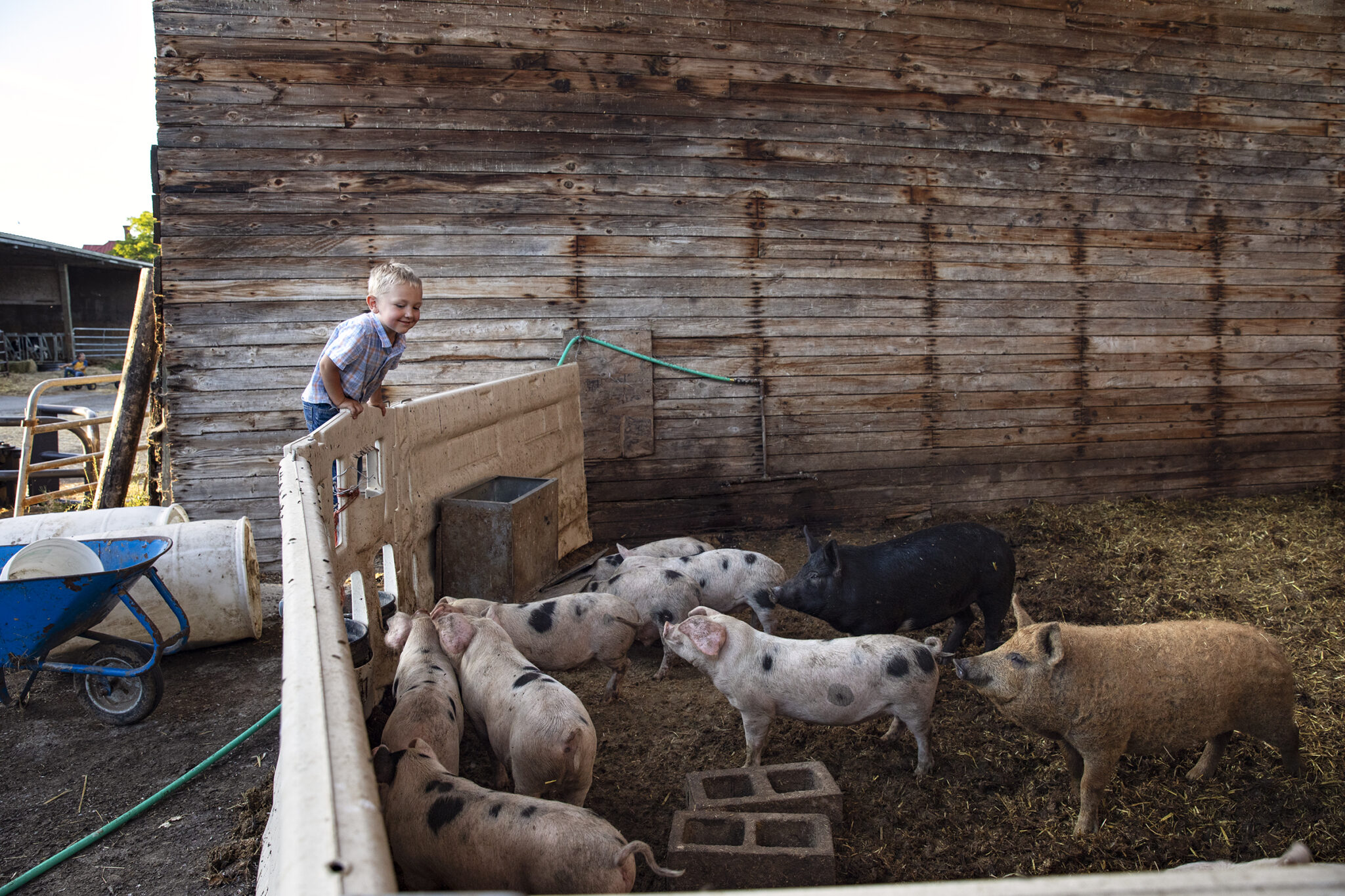 Genuine skagit cooking