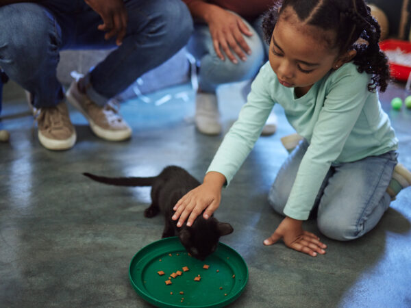 kids and pets
