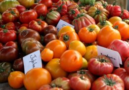 Heirloom Tomatoes Broadway Farmers Market
