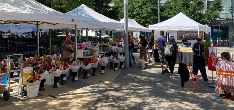 slu farmers market saturday