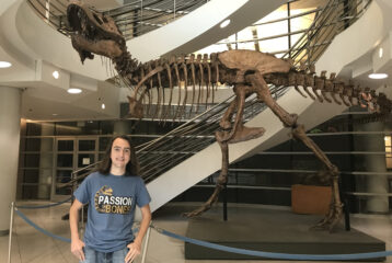 Film Why dinosaurs