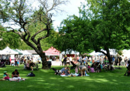 wallingford farmers market