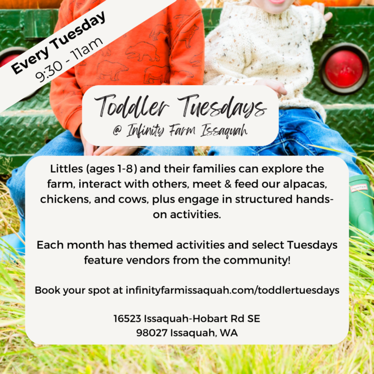 toddler tuesday