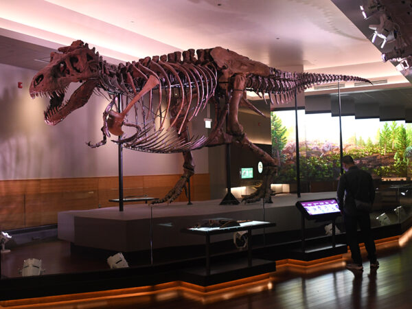 family friendly Chicago