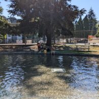 bitter lake wading pool