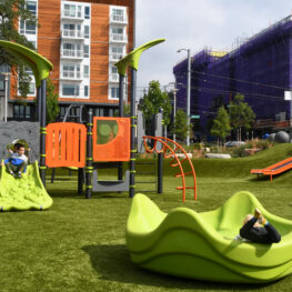 Inclusive playgrounds and parks