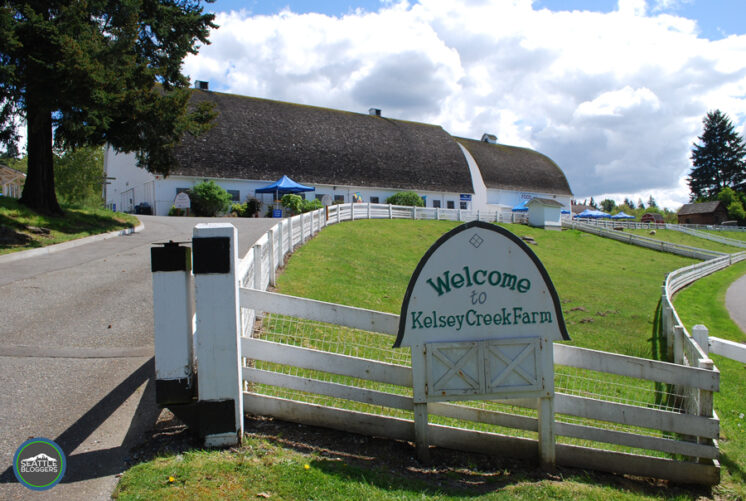 kelsey-creek-farm