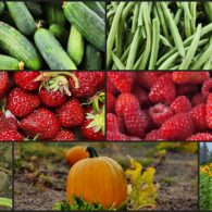 449609559_762108409467754_8992434937869323530_n