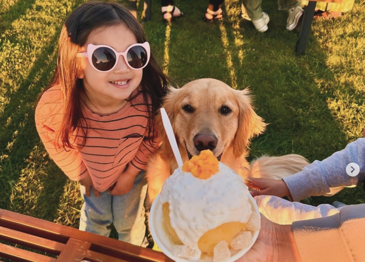 Diverse summer treats