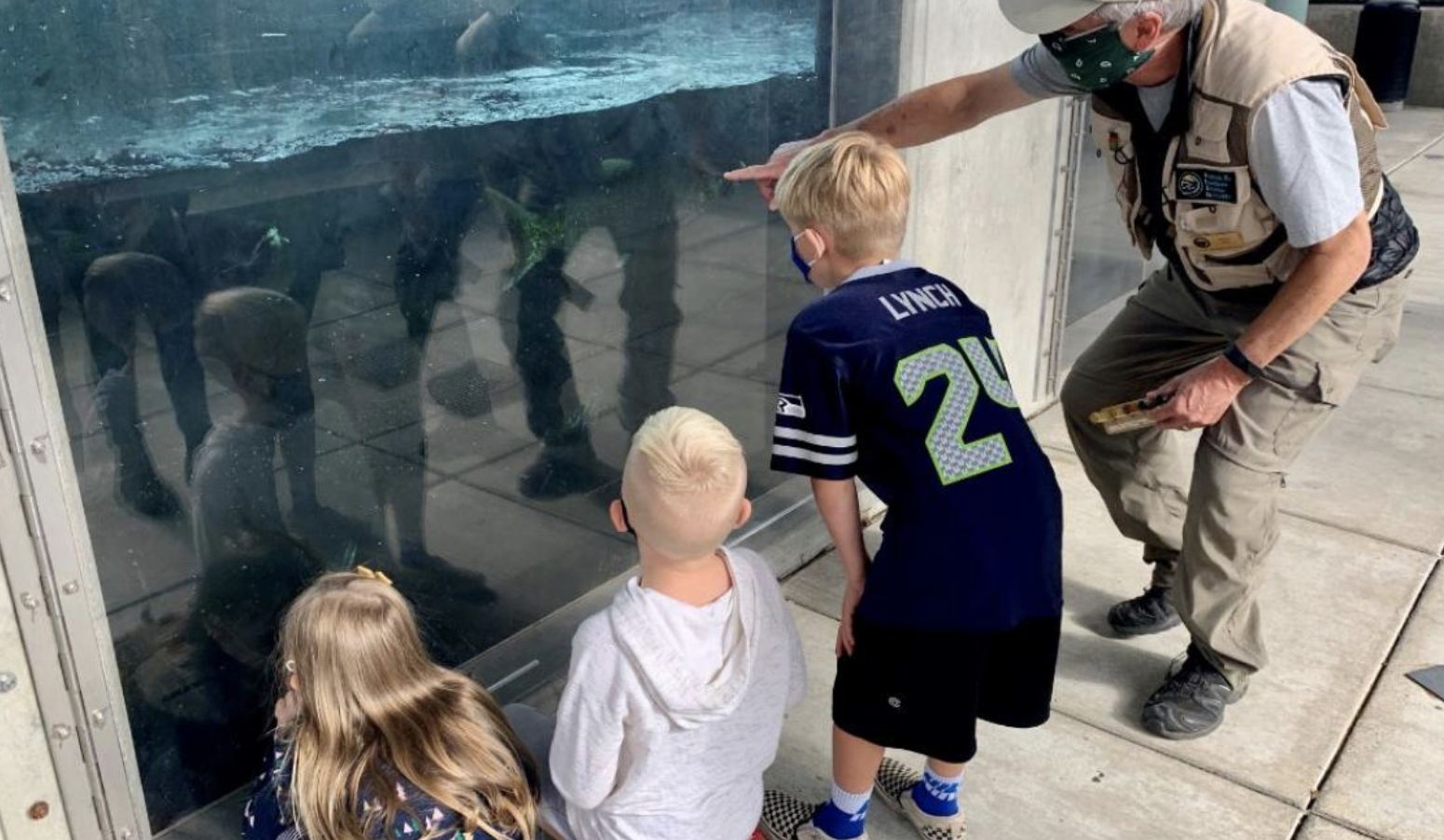issaquah salmon hatchery tours