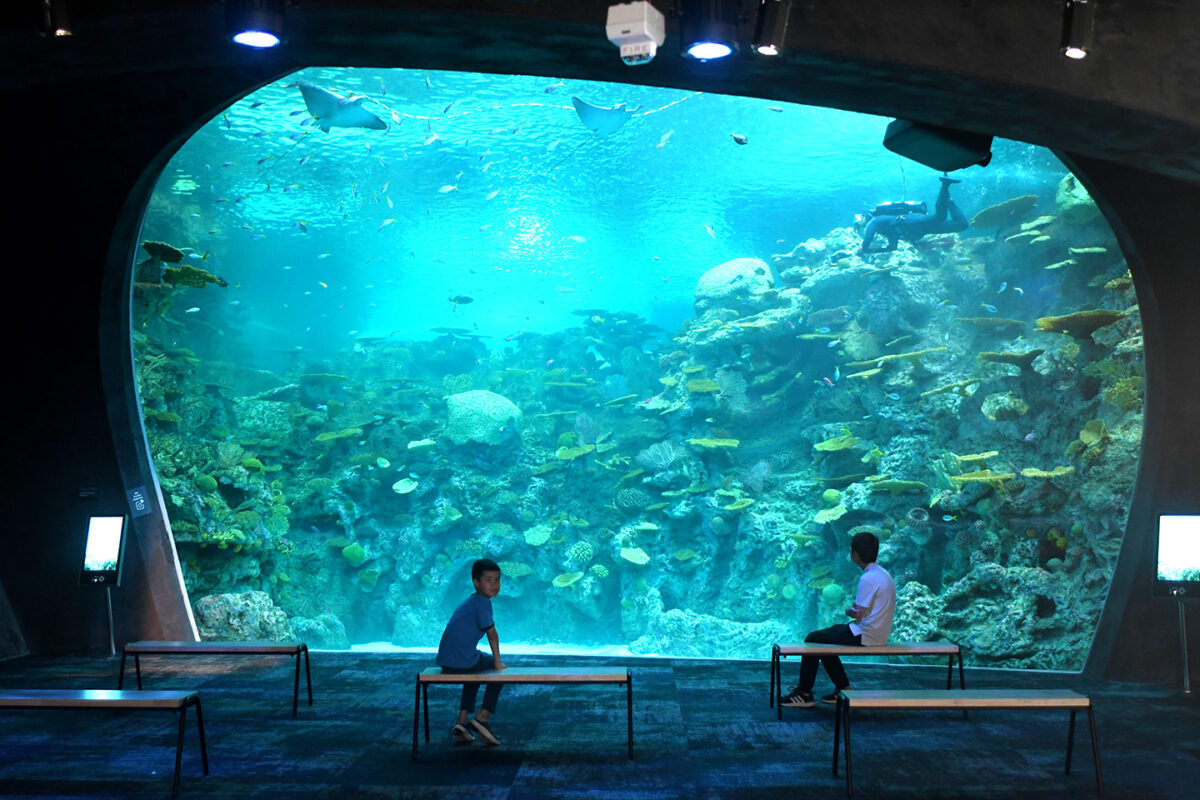 Seattle Aquarium