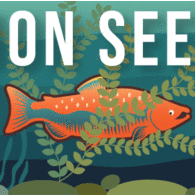 salmon seeson