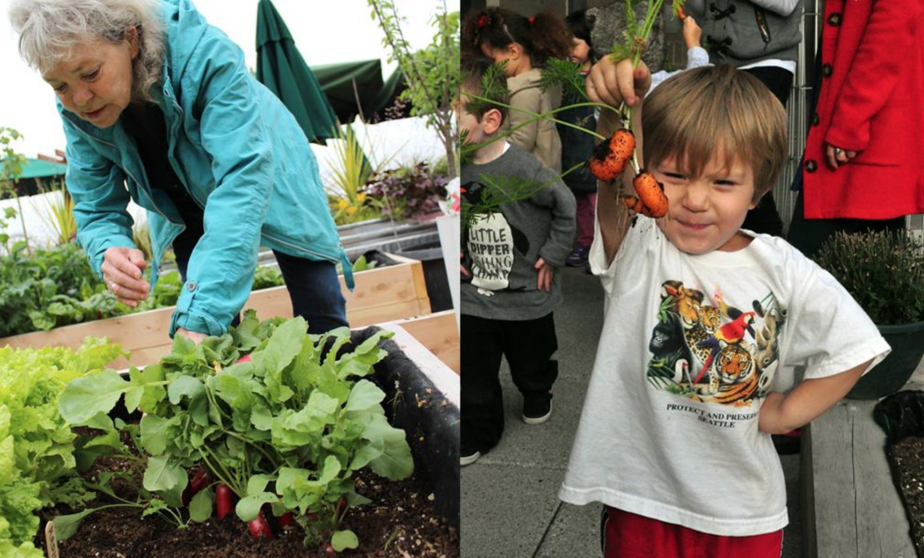 Duwamish youth center and urban agriculture