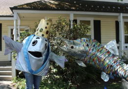 Salmon days festival