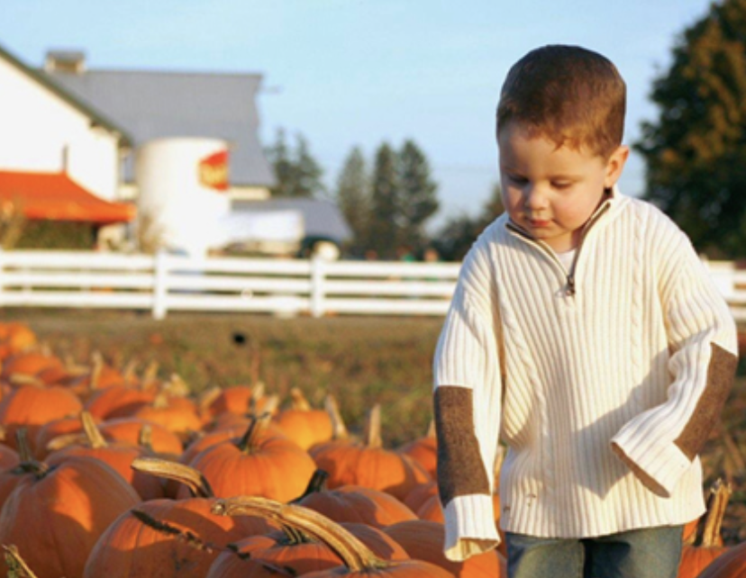 maris farm fall fun