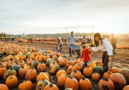fall festival and pumpkin patch