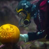 Aquarium-Halloween-underwater-pumpkin-carving
