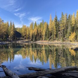 Golden larches reflecting in Clara Lake in Washington’s Wenatchee Mountains.