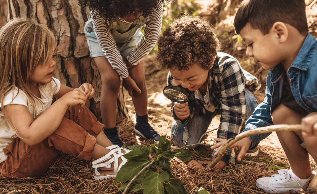 Digging Into Nature