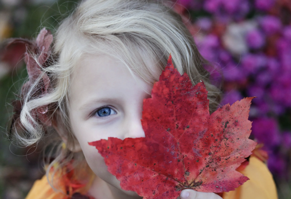 Autumn fest