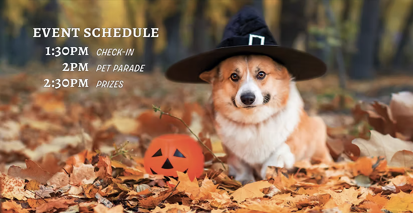 Howl of ween pet parade