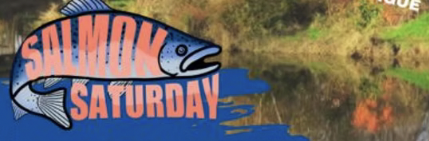 salmon saturday