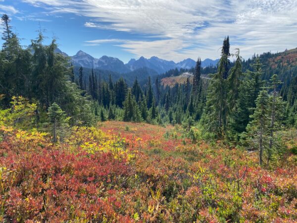 Expansive mountain views from Skyline Trail at Mount Rainier in fall