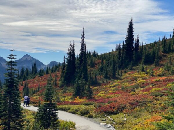 Myrtle Falls trail at Mount Rainier with vibrant fall foliage