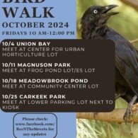 bird walk