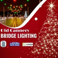 bridge lighting sumner