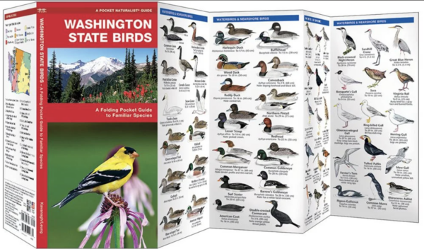 holiday gift guide field guide
