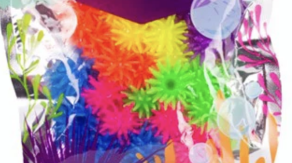 Urchins