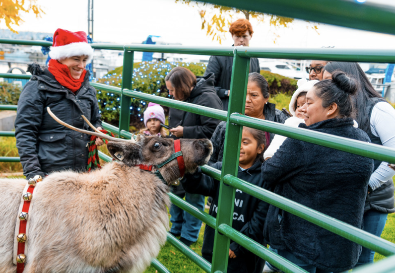 Holiday Hooves (Photo courtesy: Port of Everett).
