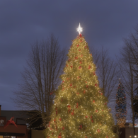 bothell tree lighting