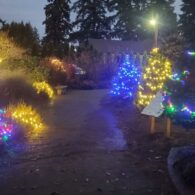 Wintertide lights Everett Arboretum source Facebook