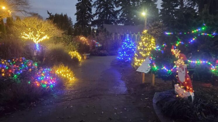 Wintertide lights Everett Arboretum source Facebook