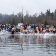polar plunge