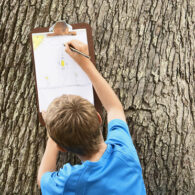 Boy-tree
