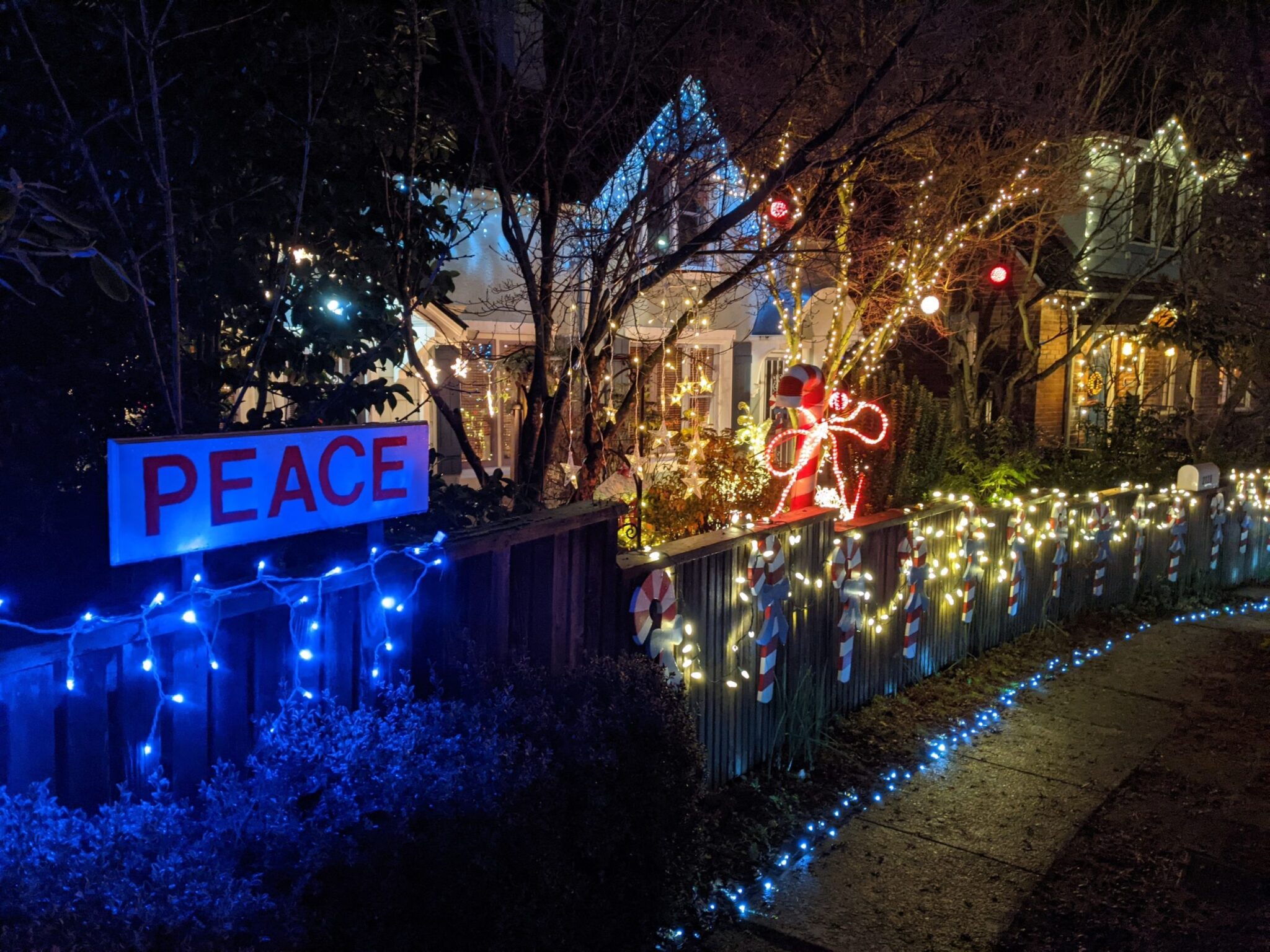 A view of Seattle’s Candy Cane Lane in the Ravenna neighborhood, glowing with holiday lights and decorated homes.