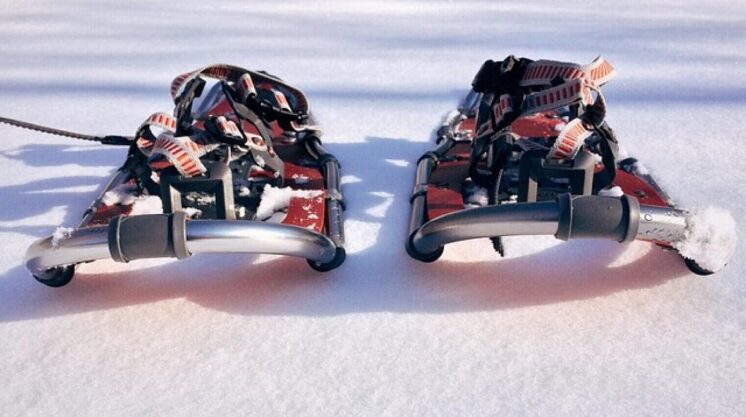 snowshoe