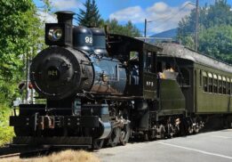 winter train excursion