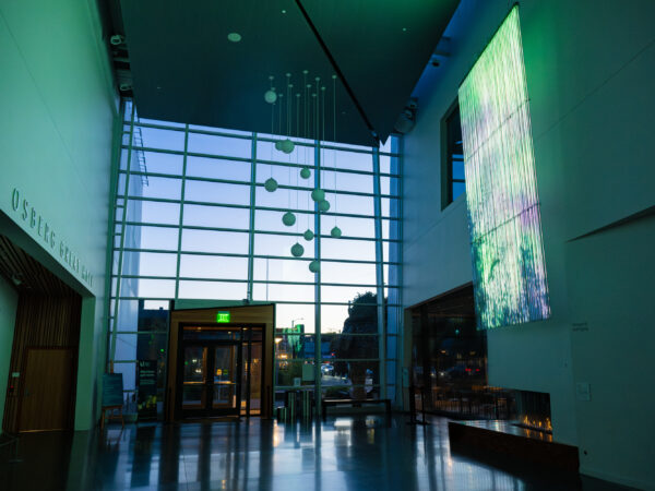 A green and blue projection against the wall of the lobby of the National Nordic Museum. A chandelier comprised of 8+ white orbs hangs from the ceiling.