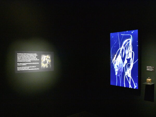 Two florescent screens appear hung on a wall, neon blue and white and reminiscent of strands of grass.
