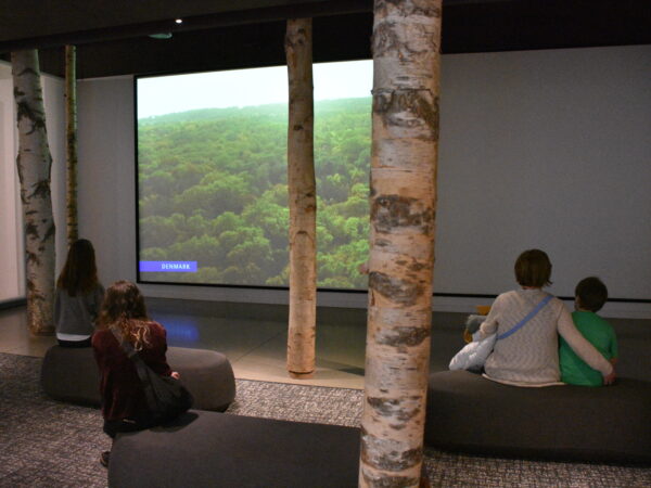 Theater room of the National Nordic Museum. Four people sit on benches facing towards a screen that shows a forest.