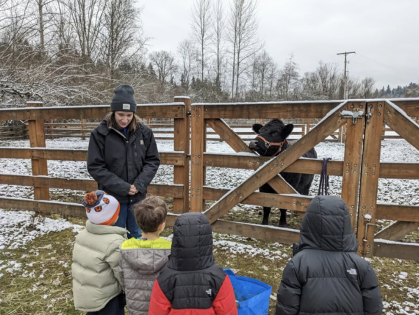 Kelsey creek farm animal 