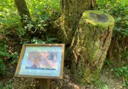 StoryWalk20234-2