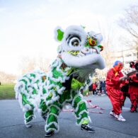 Green and white lion participate in traditional Lion Dance in street, onlookers line street watching.