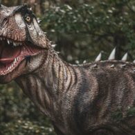 dinosaur